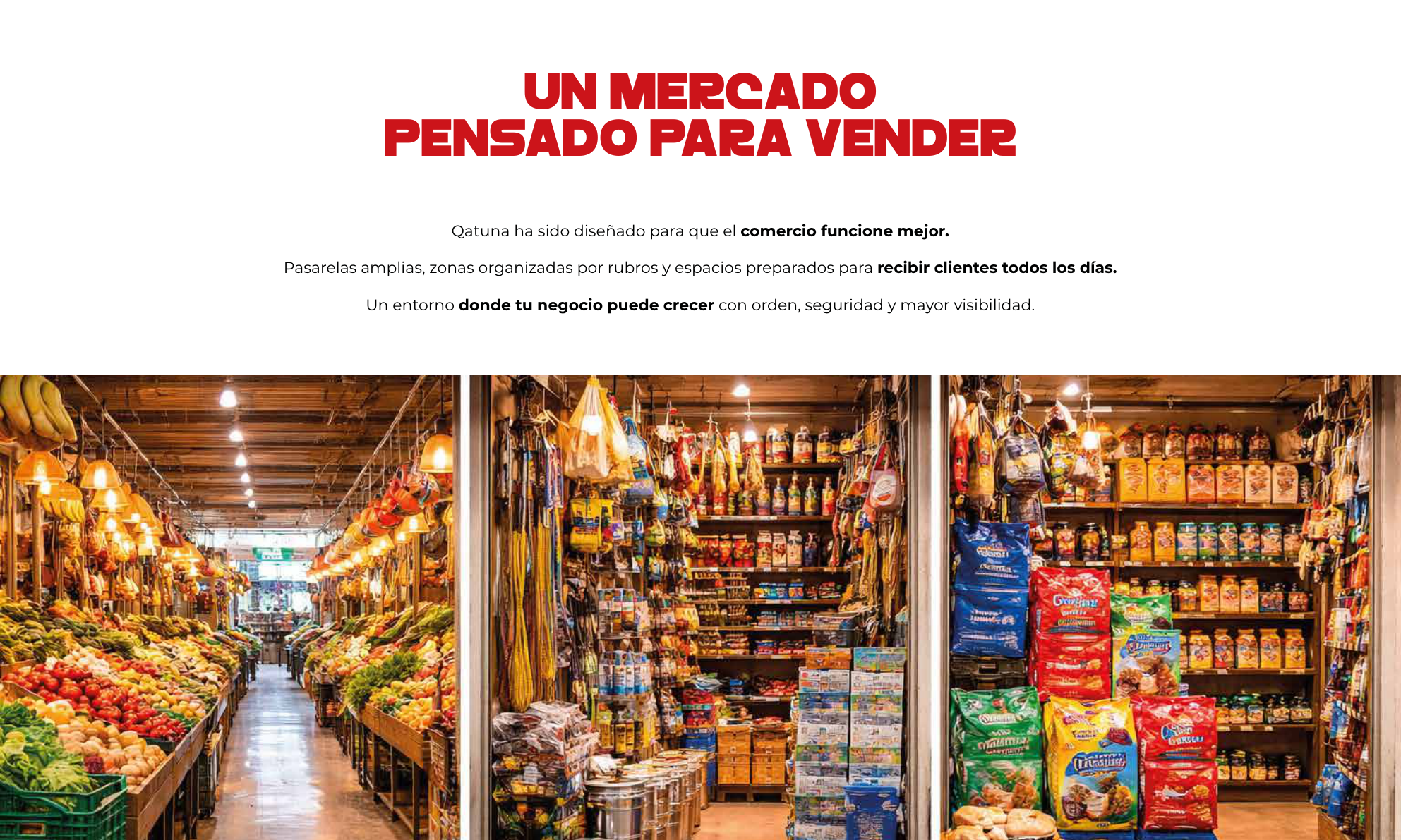 Qatuna Pasillo Comercial Principal